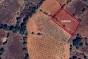 Karahallı Delihıdırlı Köyünde 1731 m² Satılık Verimli Tarla!