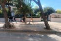 Alaşehir Yenice Mahallesi’nde Merkezi Konumda 36 m2 Satılık Değerli İşyeri