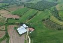 Eşme Cevizli Köyü’nde Tarım, Hayvancılık ve Yatırım İçin Tam Fırsat 11.600 m² Satılık Arazi