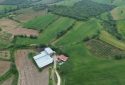 Eşme Cevizli Köyü’nde Tarım, Hayvancılık ve Yatırım İçin Tam Fırsat 11.600 m² Satılık Arazi