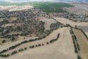 UŞAK EŞME GÜLLÜBAĞ KÖYÜ’NDE 47.700 M² SATILIK TARLA